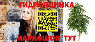 кокс Малгобек