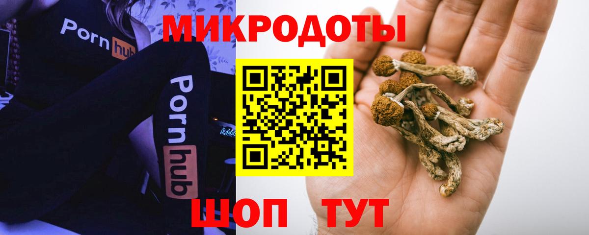Дубна  Галлюциногенные грибы мицелий  Вход с VPN 